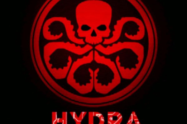 Пользователь не найден на кракене