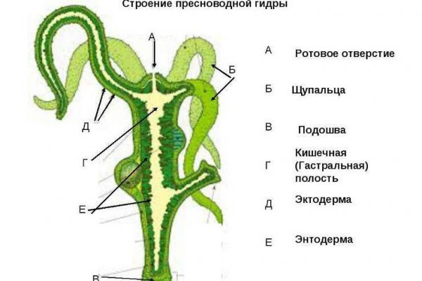 Вход в кракен даркнет