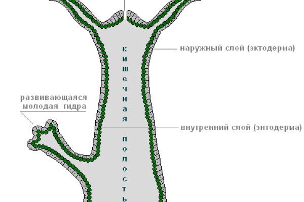 Кракен это современный даркнет маркет